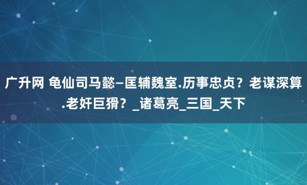 广升网 龟仙司马懿—匡辅魏室.历事忠贞？老谋深算.老奸巨猾？_诸葛亮_三国_天下