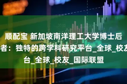 顺配宝 新加坡南洋理工大学博士后高级访问学者：独特的跨学科研究平台_全球_校友_国际联盟
