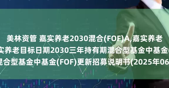 美林资管 嘉实养老2030混合(FOF)A,嘉实养老2030混合(FOF)Y: 嘉实养老目标日期2030三年持有期混合型基金中基金(FOF)更新招募说明书(2025年06月17日更新)
